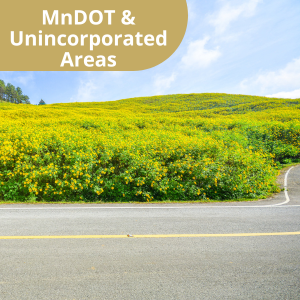 Photo showing a road and unincorporated area with link to MnDOT and Unincorporated Areas page