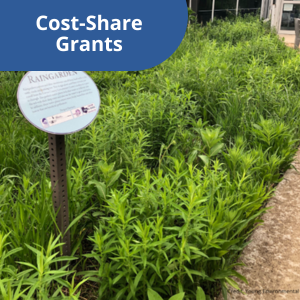 A group is planting a rain garden and link to "Cost Share Grant" page