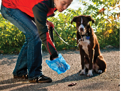 A woman cleans up dog poop to help the environment