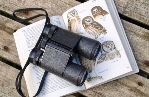 Binoculars and a bird watching book