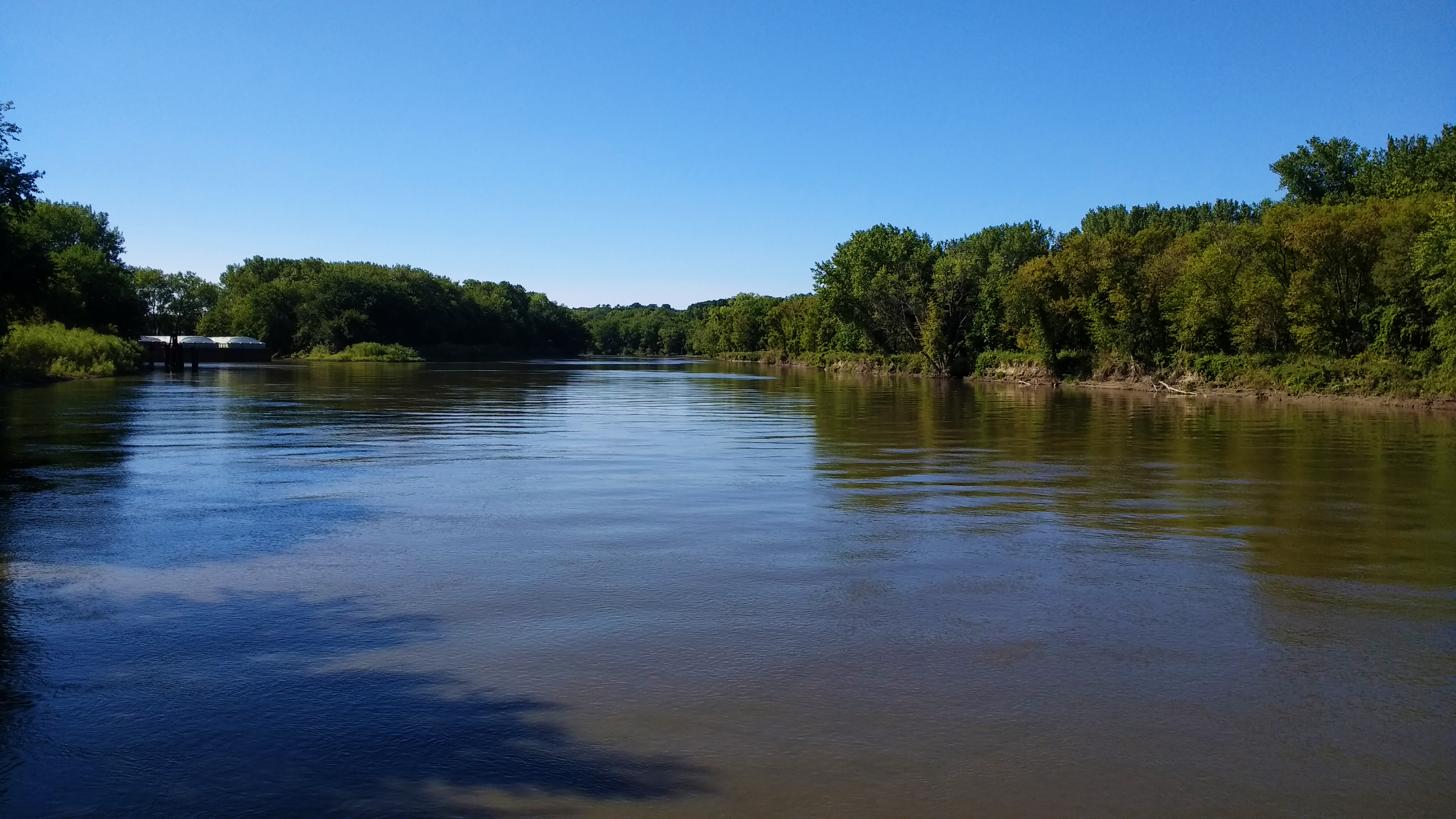 Minnesota River bordered by trees